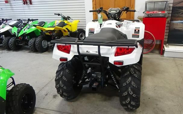 2025 Kawasaki Brute Force 450 4x4