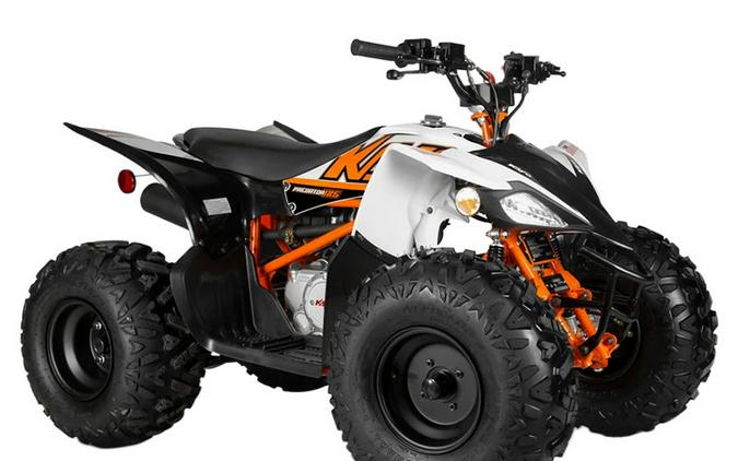 2025 Kayo Predator 125