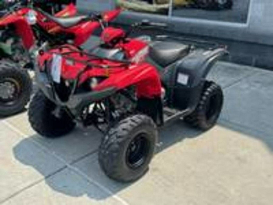 2025 Yamaha Grizzly 110