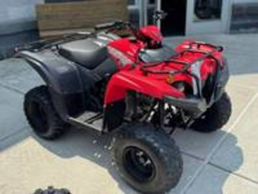 2025 Yamaha Grizzly 110