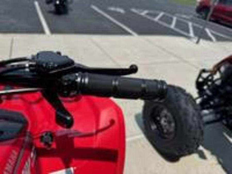 2025 Yamaha Grizzly 110