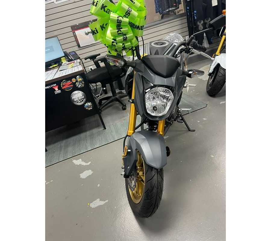 2024 Kawasaki Z125 Pro