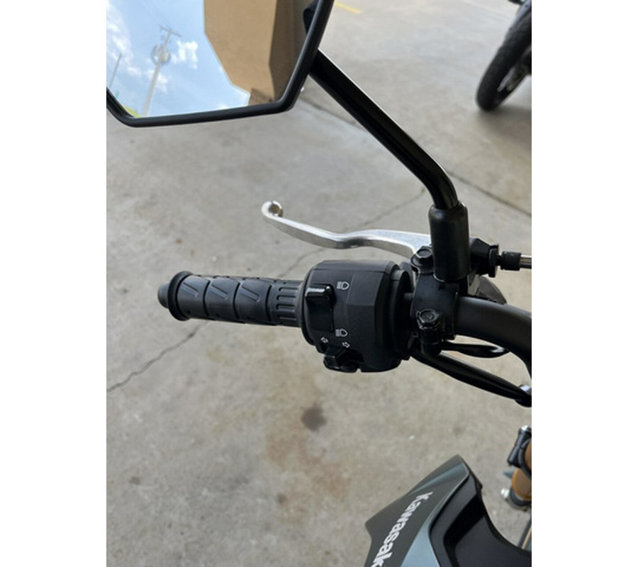 2025 Kawasaki Z125 PRO