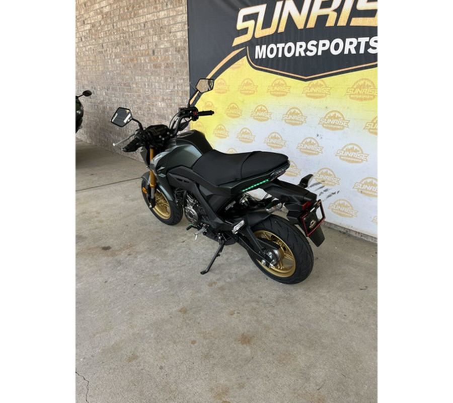 2025 Kawasaki Z125 PRO