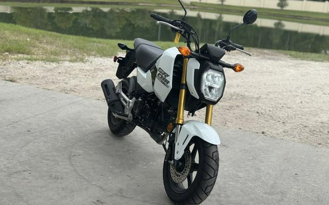 2025 Honda Grom