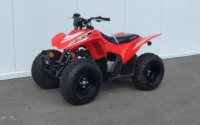 2025 Honda® TRX90X