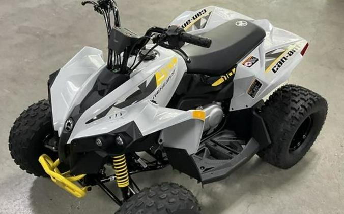 2024 Can-Am® Renegade 110 EFI