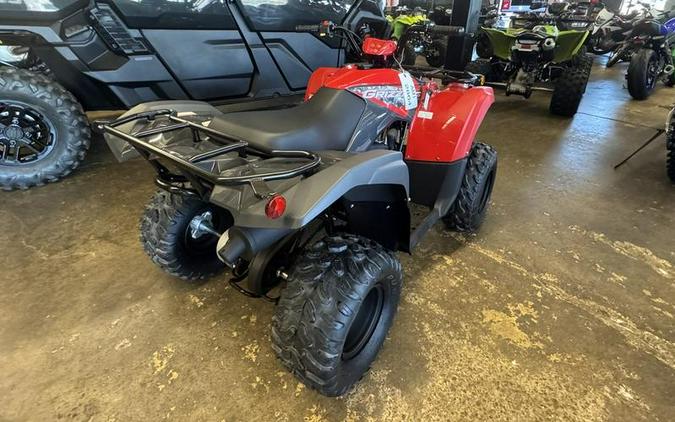 2025 Yamaha Grizzly 110