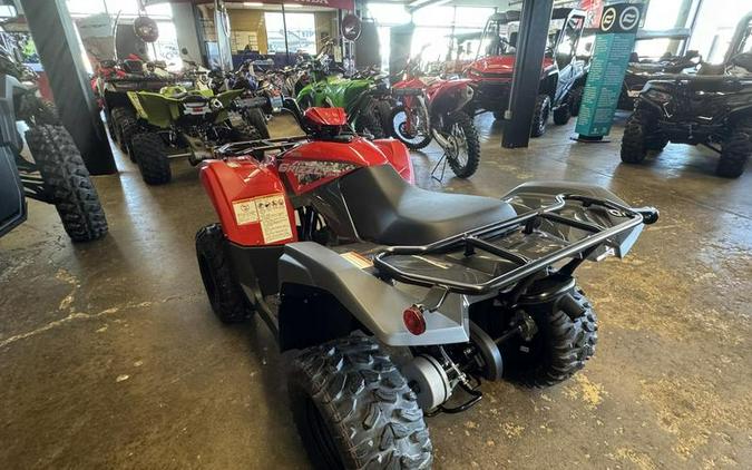 2025 Yamaha Grizzly 110