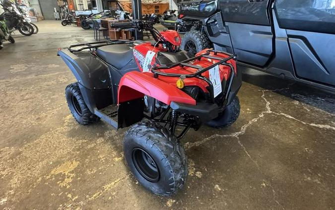 2025 Yamaha Grizzly 110