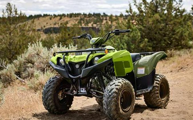 2026 Yamaha Grizzly 110