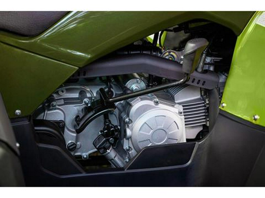 2026 Yamaha Grizzly 110