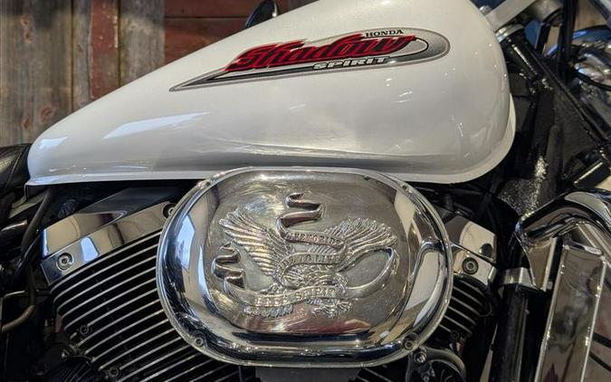 2002 Honda® VT750DC