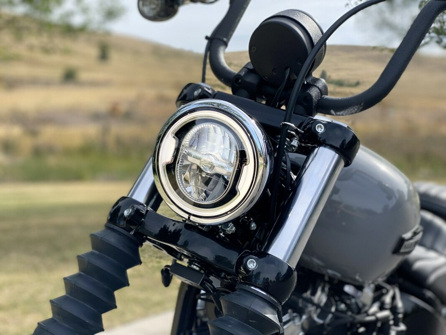 2025 Harley-Davidson Street Bob