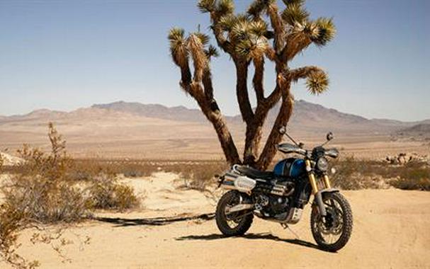 2019 Triumph Scrambler 1200 XE