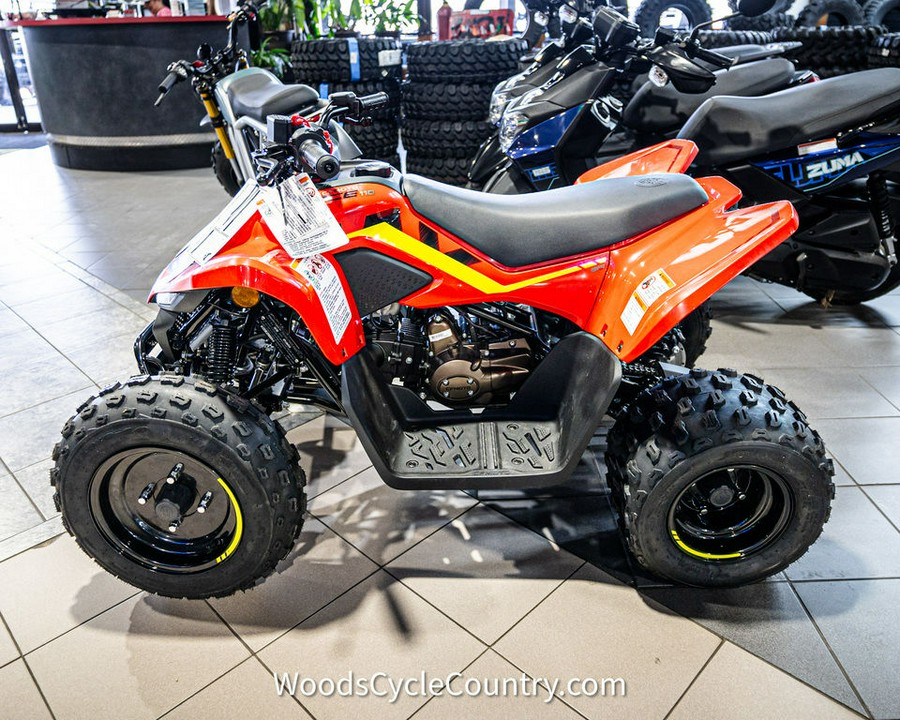 2023 CFMoto CForce 110