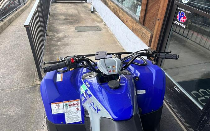 2026 Grizzly 110 - Yamaha