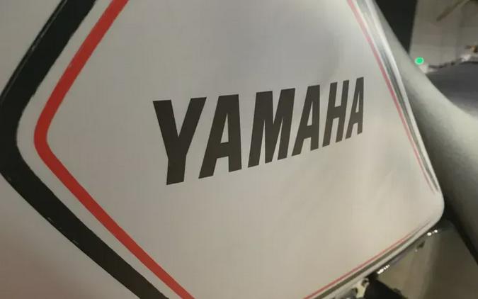 New 2024 YAMAHA TW200