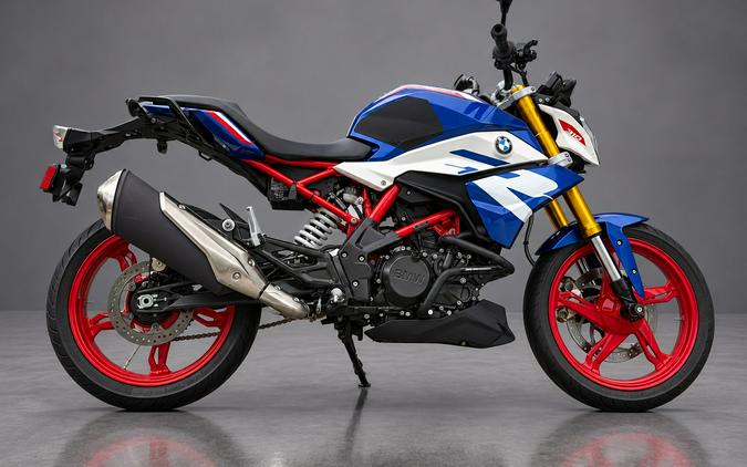 2024 BMW G 310 R