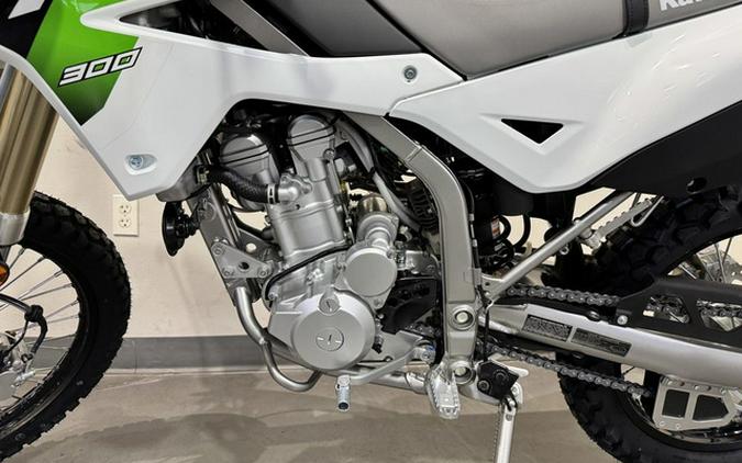 2026 Kawasaki KLX 300