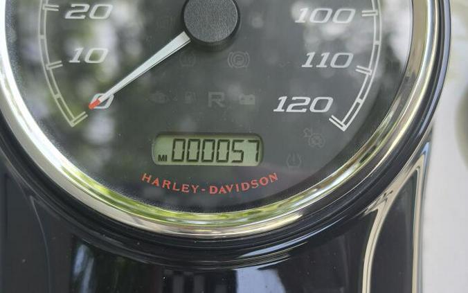 2023 Harley-Davidson Freewheeler