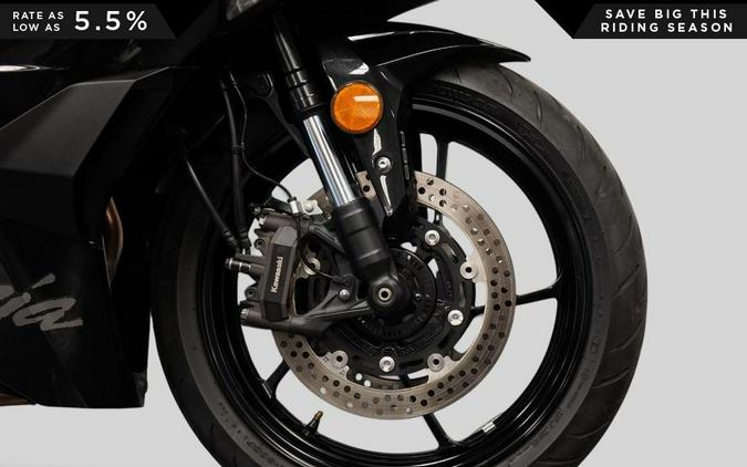 2024 Kawasaki Ninja ZX-4RR KRT