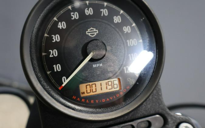 2019 Harley-Davidson Iron 883 XL 883N