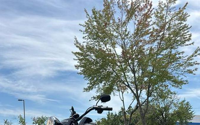 2024 Harley-Davidson Freewheeler®