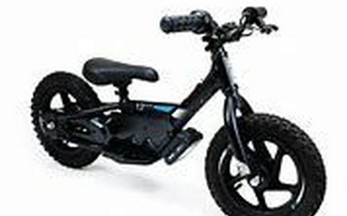 2022 Stacyc 12eDrive