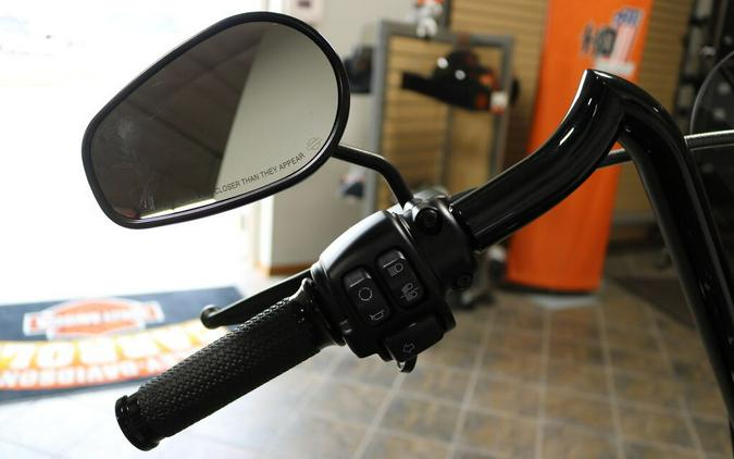 FXLRS 2021 Low Rider® S