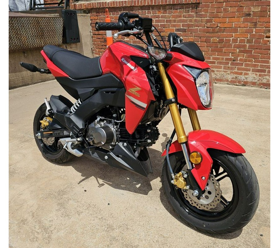 2023 Kawasaki Z125 Pro