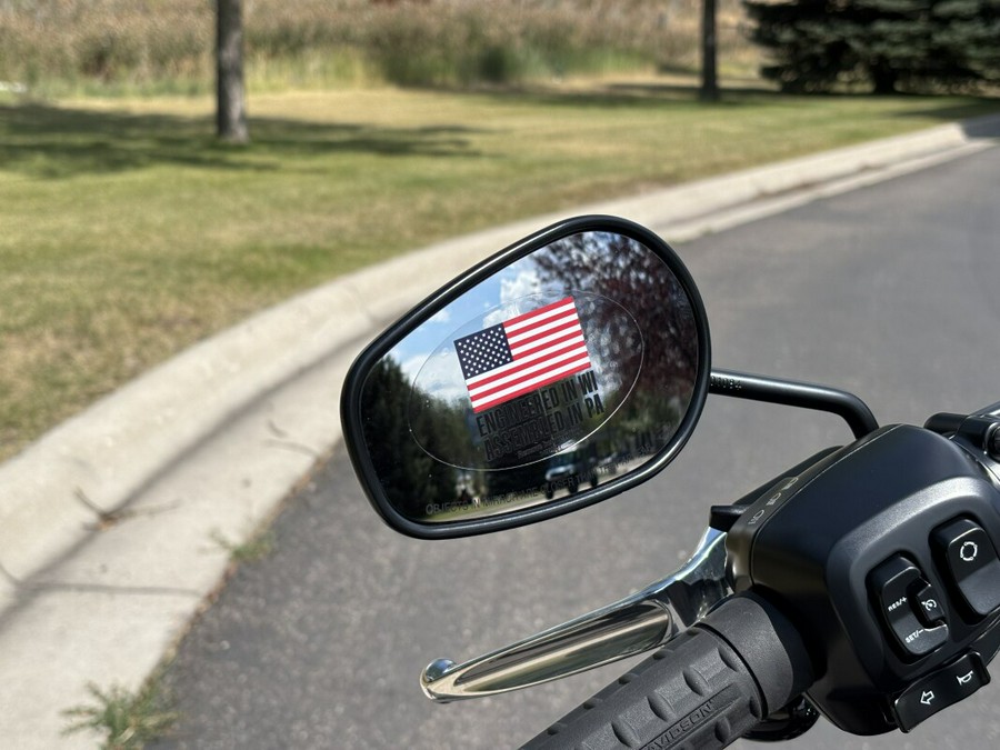 2025 Harley-Davidson Street Bob