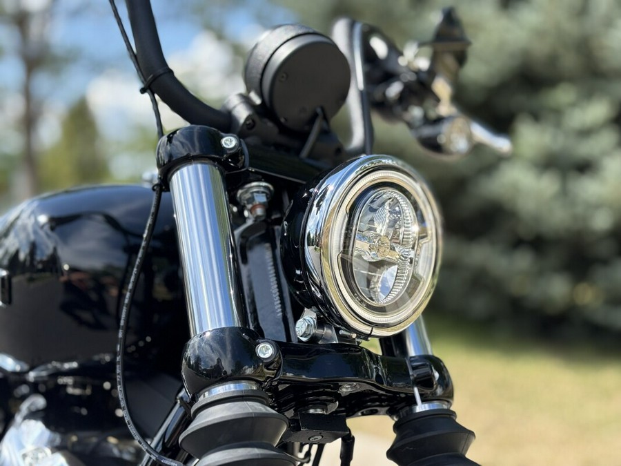 2025 Harley-Davidson Street Bob