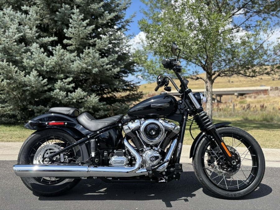 2025 Harley-Davidson Street Bob