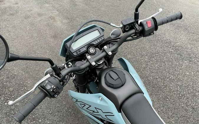 2024 Kawasaki KLX®300SM