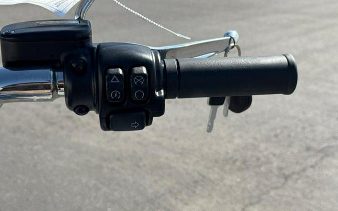 2024 Harley-Davidson® Softail® Fat Boy® 114