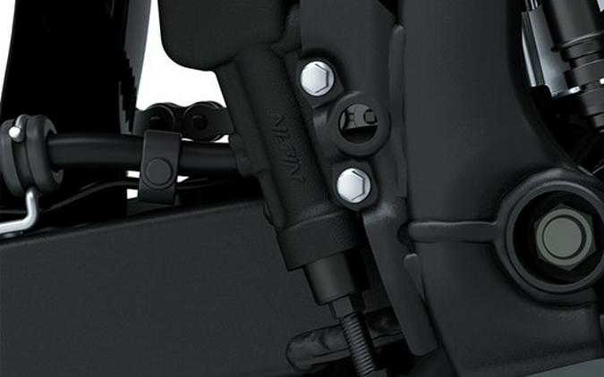 2026 Kawasaki KLX 230 DF ABS