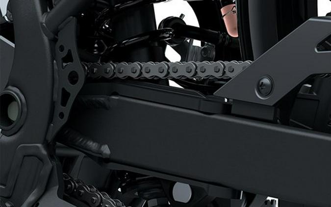 2026 Kawasaki KLX 230 DF ABS