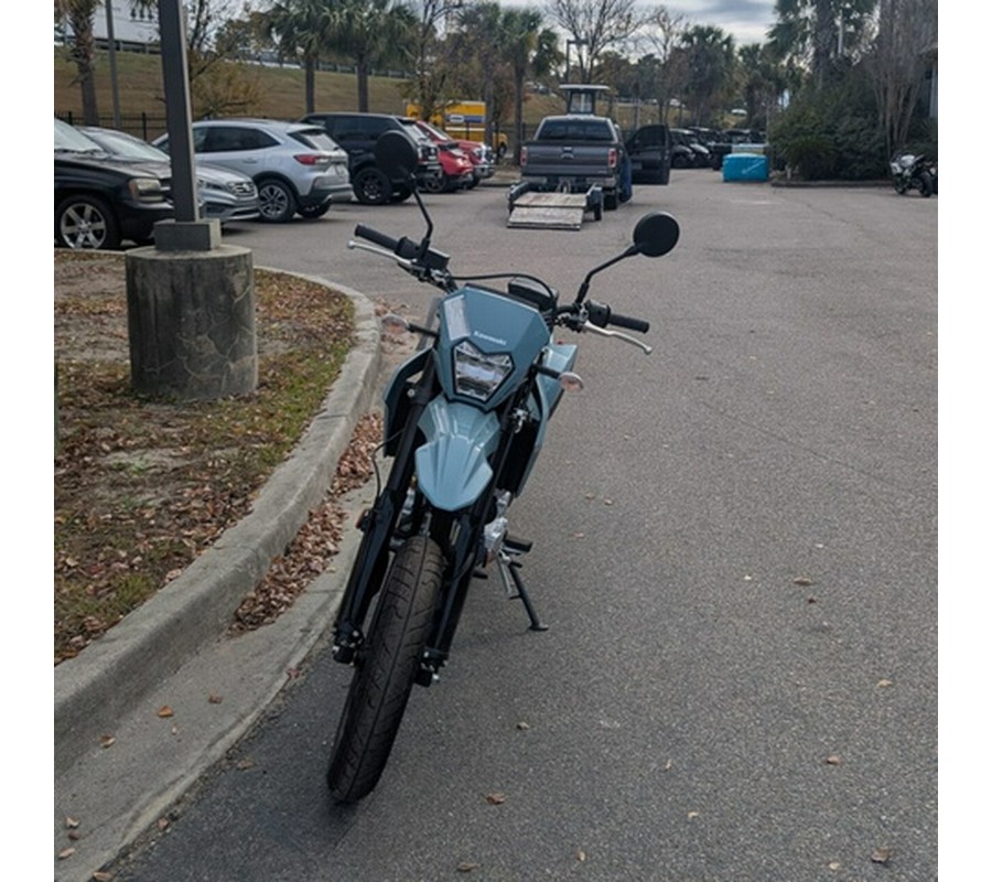 2025 Kawasaki KLX300GSFNL