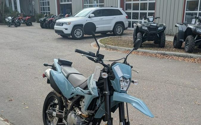 2025 Kawasaki KLX300GSFNL