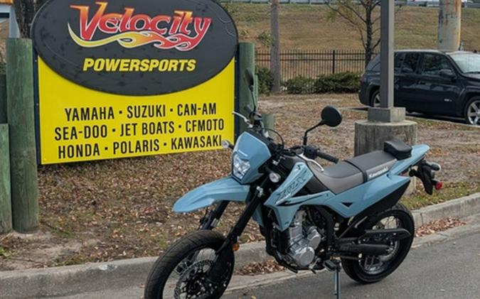 2025 Kawasaki KLX300GSFNL