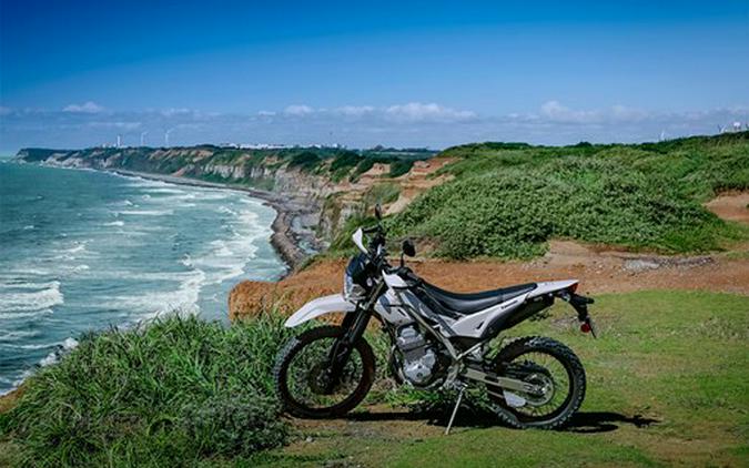 2026 Kawasaki KLX 230 Sherpa S ABS