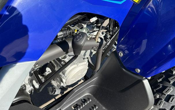 2026 Yamaha Raptor 110