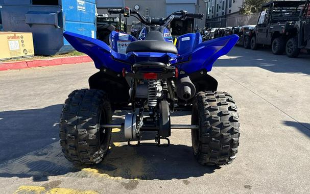 2026 Yamaha Raptor 110