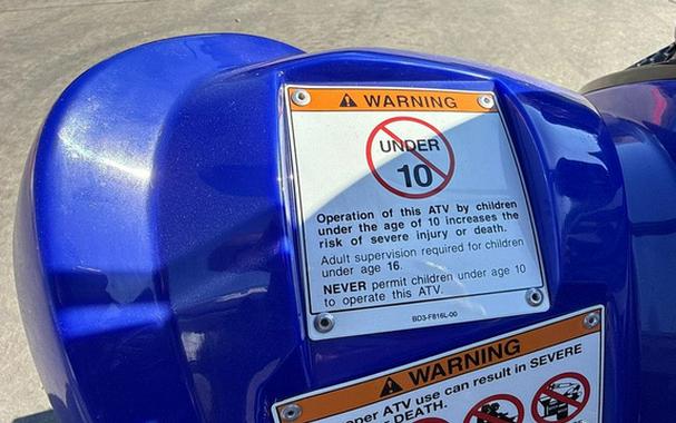 2026 Yamaha Raptor 110