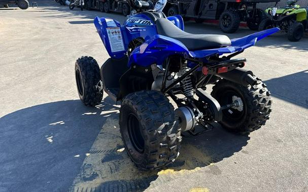 2026 Yamaha Raptor 110