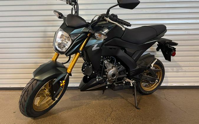 2025 Kawasaki Z125 PRO