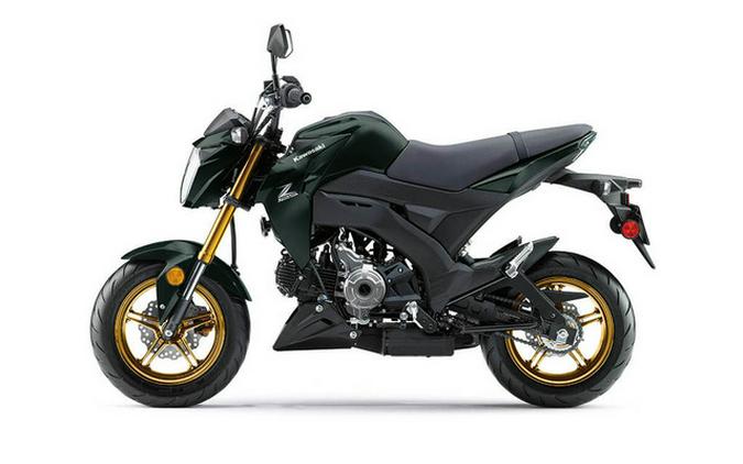 2025 Kawasaki Z125 PRO