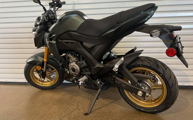 2025 Kawasaki Z125 PRO