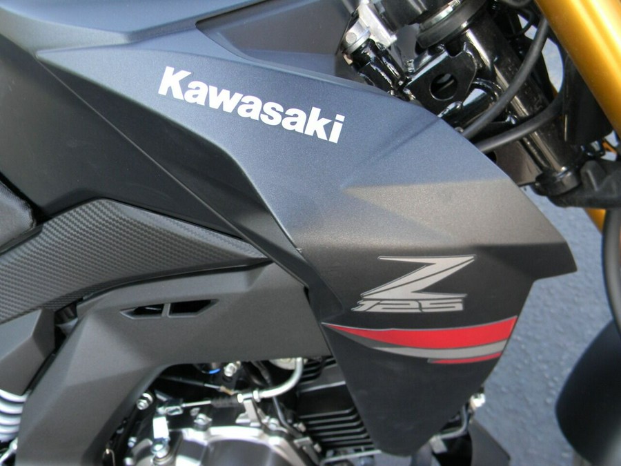 2021 Kawasaki BR125 4 Stroke